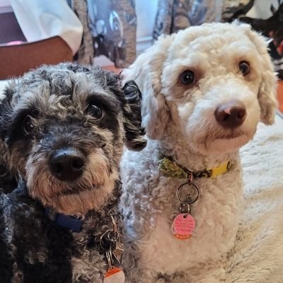 fabiang_b's profile picture. ⚓Newfie in BC🍁