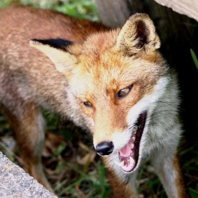asirichup's profile picture. 占術関係を中心に
https://t.co/g7ZYu7zJfS