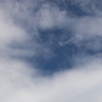 nonsugar_seal's profile picture. 