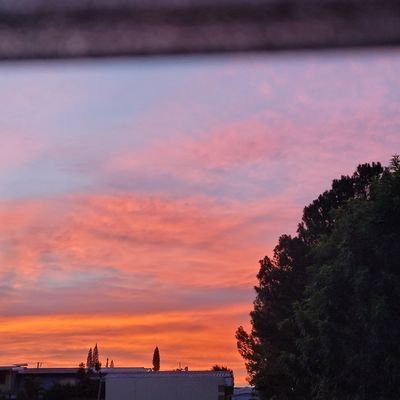 hopi_dopi1's profile picture. bts, svt, skz and zior.         
y si mi evento canon es darme de baja de la uni? 
🐮🐮🐮