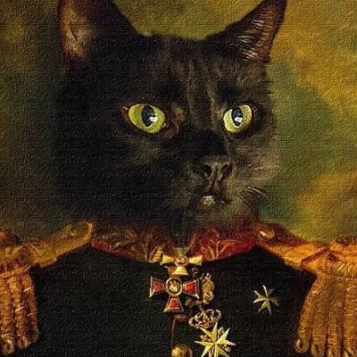 This account is meant to post about a cat being a general in the 1800s, sharing his daily work stuff in the internet. In short, a parody acc.

Es lebe Sachsen.