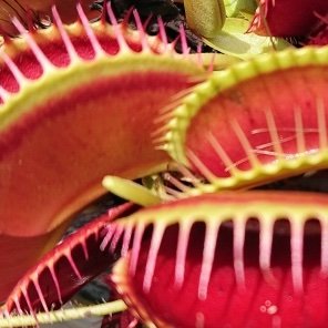 mi27025531789's profile picture. ジェンダーは解体、代理出産反対、女性差別は男性問題だけど気づいた女性も頑張っていこ　職を手放してはいかん！！