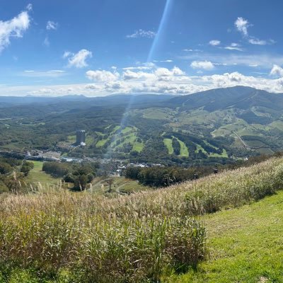 ito_oshii's profile picture. 