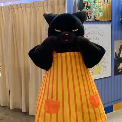 XJFo3Sk3YqeASw4's profile picture. 