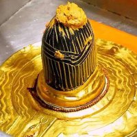 Shashikant Rai (@rais70645) 's Twitter Profile