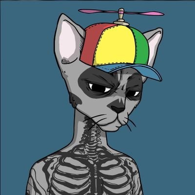 croustibalt's profile picture. Elrond NFT OG