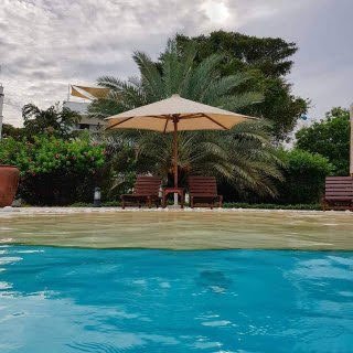 ahmedn_80's profile picture. 