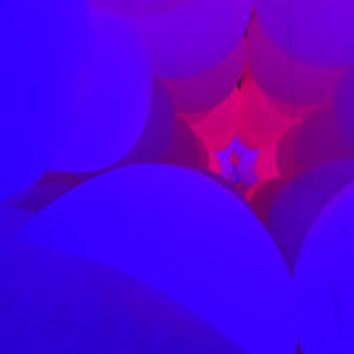 NoahSchy's profile picture. workin on it