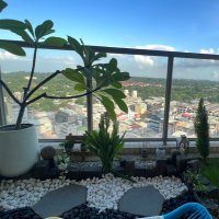 Yo-yo Lin (@yoyolin84279326) 's Twitter Profile