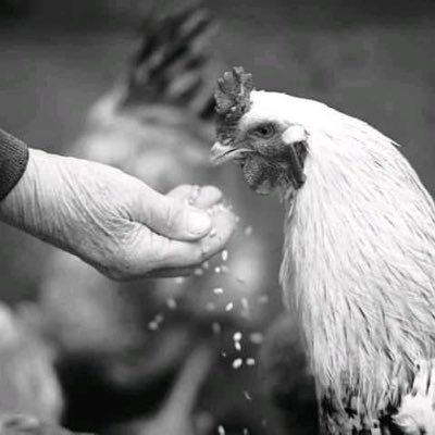 Sp540960593682's profile picture. 