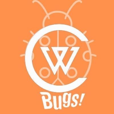 Team BUGS for WINNER
DONATION LINK ⬇️