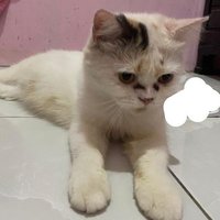 Heyn (@mochy_yy) 's Twitter Profile