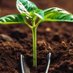 AgriGrowthBuzz (@agrigrowthbuzz) Twitter profile photo AgriGrowthBuzz (@agrigrowthbuzz) Twitter profile photo