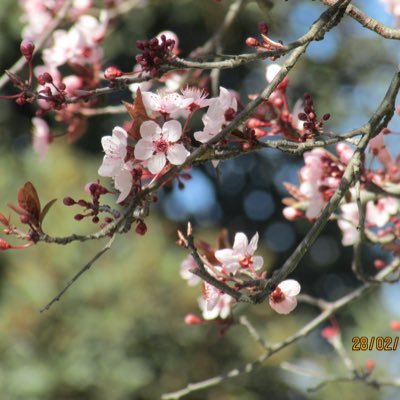 re_sh86's profile picture. 