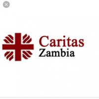 Caritas Zambia(@caritaszambia) 's Twitter Profileg