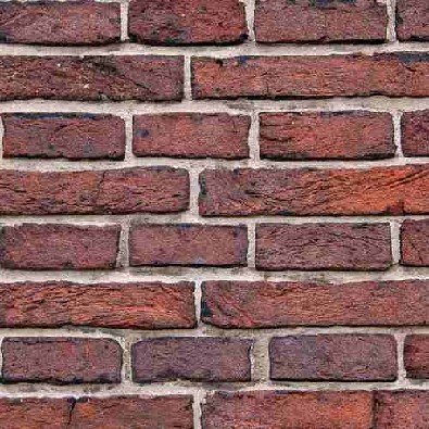 LaurenaF21476's profile picture. 