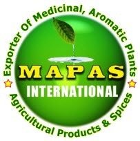 mapassalem's profile picture. MAPAS International