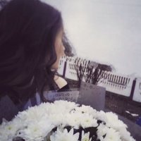 Nancy (@mckee_nancy99) 's Twitter Profile