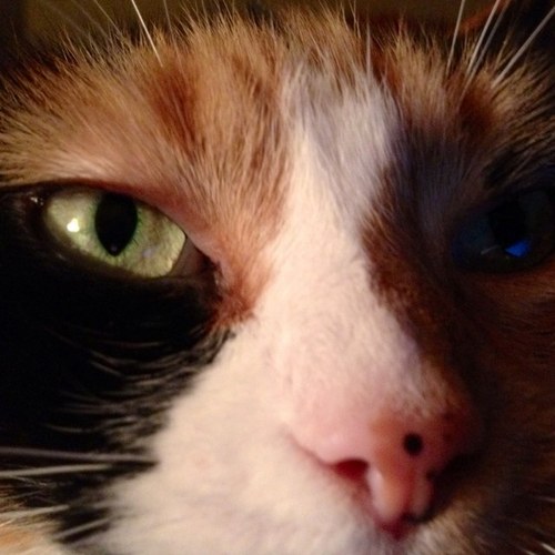 bets60's profile picture. Love food, family, photography, fine arts, social media