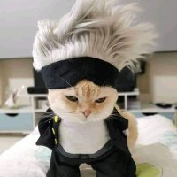 ˗ˋˏ° aabi °ˎˊ˗⁷-⁷ ᵇʸ ʲᵏ | ʟᴀʏᴏ(ꪜ)ᴇʀ (@trusfratedme7) 's Twitter Profile Photo