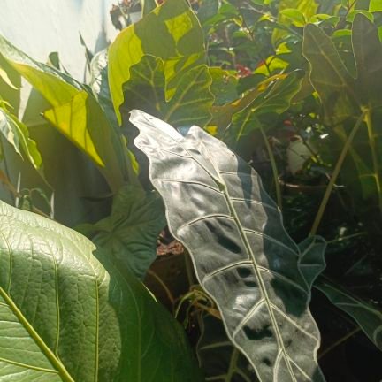 arekfeb's profile picture. 