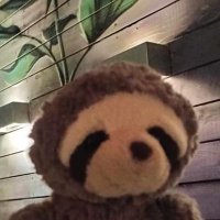 Slothman1therejoinMarch(@Slothman1Rejoin) 's Twitter Profile Photo