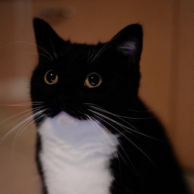 ItsNo0bTime's profile picture. 