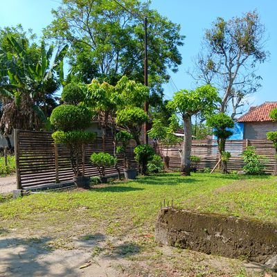 shusaku0987's profile picture. New