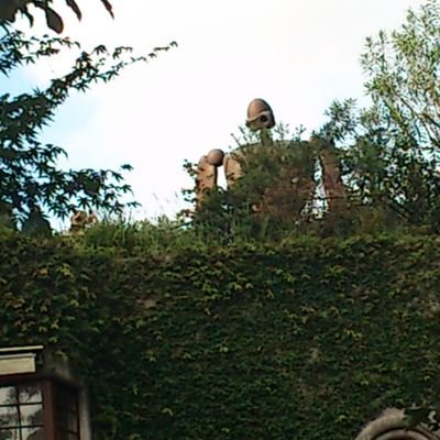 347msn's profile picture. ANGRY NERD Dr  |  good luck with your fun Gt/Vo   @glwyf_ngy