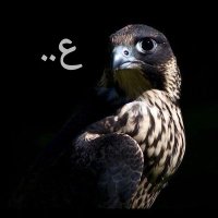 ع.. (@abothamer077) Twitter profile photo