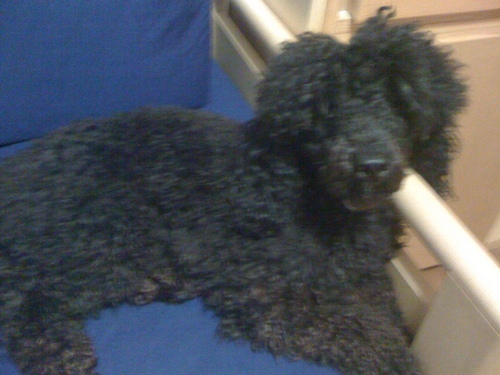 2308star's profile picture. 