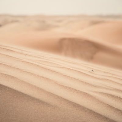 Fabvesv's profile picture. 🏴‍☠️🏴‍☠️🏴‍☠️