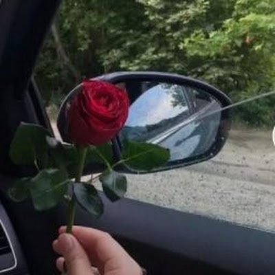 Newos5555's profile picture. 