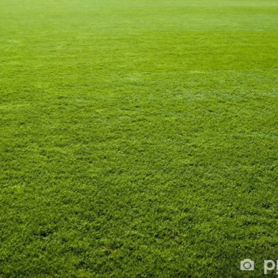 rvu_po_lidech's profile picture. Občas i z radosti