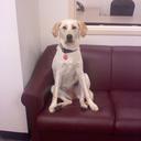 Olive Sweeney - @OliveSweeney - Twitter