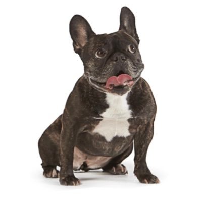 uverrrrrr__s's profile picture. 社会人3年目の日常