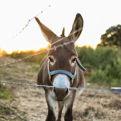 bankhole137411's profile picture. A banker by profession. A Genuine human by nature