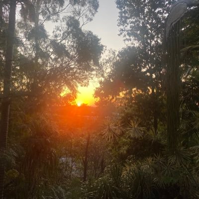 sinead_fischart's profile picture. 