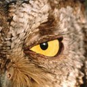 Jeremy Hooks - @jhooks88 - Twitter