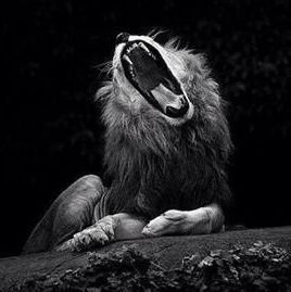 bnsoni1975's profile picture. Wondering, exploring, figuring out..
Reinventing the wheel.