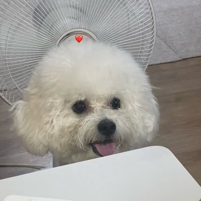 Buy__World's profile picture. 다양한 AI로 '알파 트렌드'를 사냥합니다. | 💰'돈 버는 소싱' 정보 공유 (ft. AI, 주식, 테슬라 팔란티어 투자자) | 🚀비즈니스(바이월드) 인사이트 | #Grok #구매대행 #AI