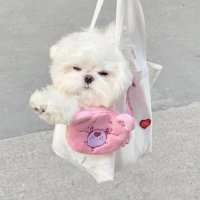 もち (@_mochi05_) 's Twitter Profile Photo