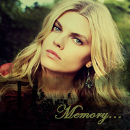 TNikitan's profile picture. 