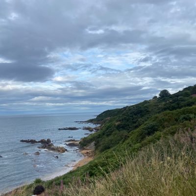 KareemTamari's profile picture. 