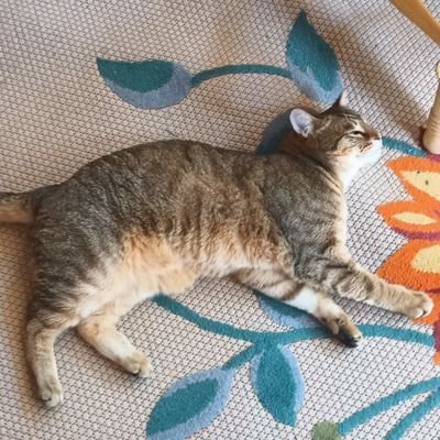 ab43803's profile picture. we make decisions under uncertainty