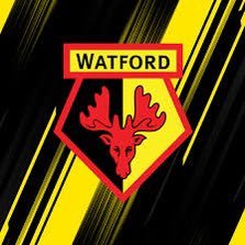 cam19hockey's profile picture. fife flyers 💛🤍💙/Guildford flames 🔥