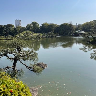英語勉強垢/東京都の30歳 /早稲田商卒/会社員 気ままに家やカフェで英語の勉強してます 勉強仲間フォロー