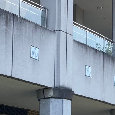 yuytit's profile picture. 扇風機を買う