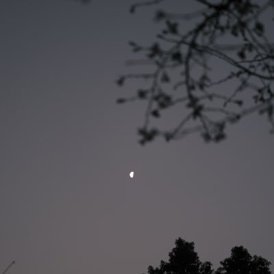 Fri1490108's profile picture. 夢裏不知身是客