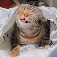 หนุตาลเองจะใครละ (@nutan242719) 's Twitter Profile